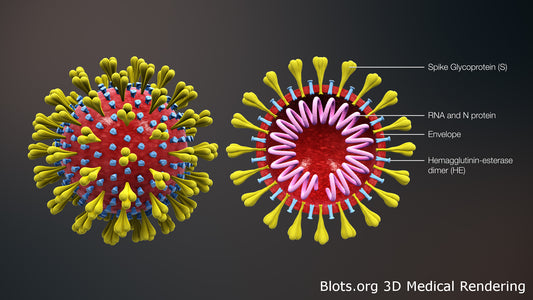 COVID-19 - Taking every Precaution.